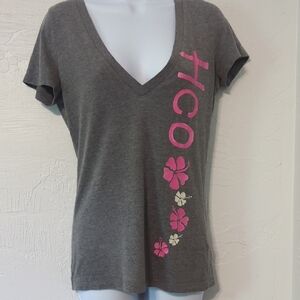 Hollister Y2K Gray & Pink Graphic HCO Fitted Short Sleeve V Neck T-Shirt Large